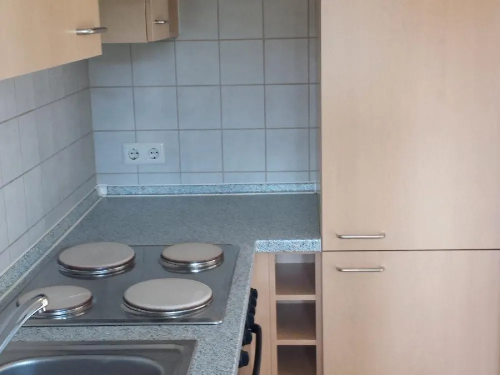 Garden and Sun: 1-Room Apartment in Ditzingen