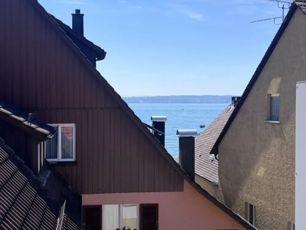 Beautiful 2.5 Room Apartment with Lake View in Hagnau