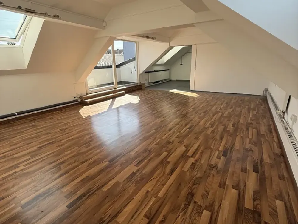 Großzügige Loft-Dachgeschosswohnung mit Terrasse und Blick auf Weinberge & Felder