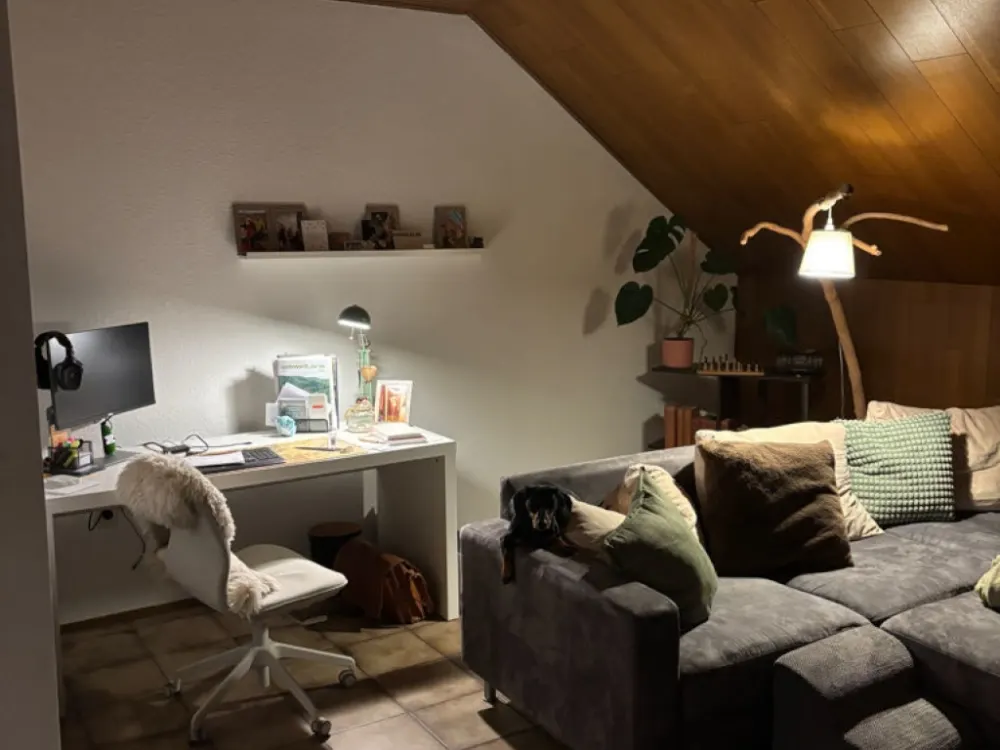 Nice Unfurnished Room in a Bright and Friendly 80s Attic Apartment for Shared Living