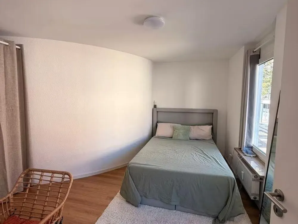 2.5 Room City Apartment