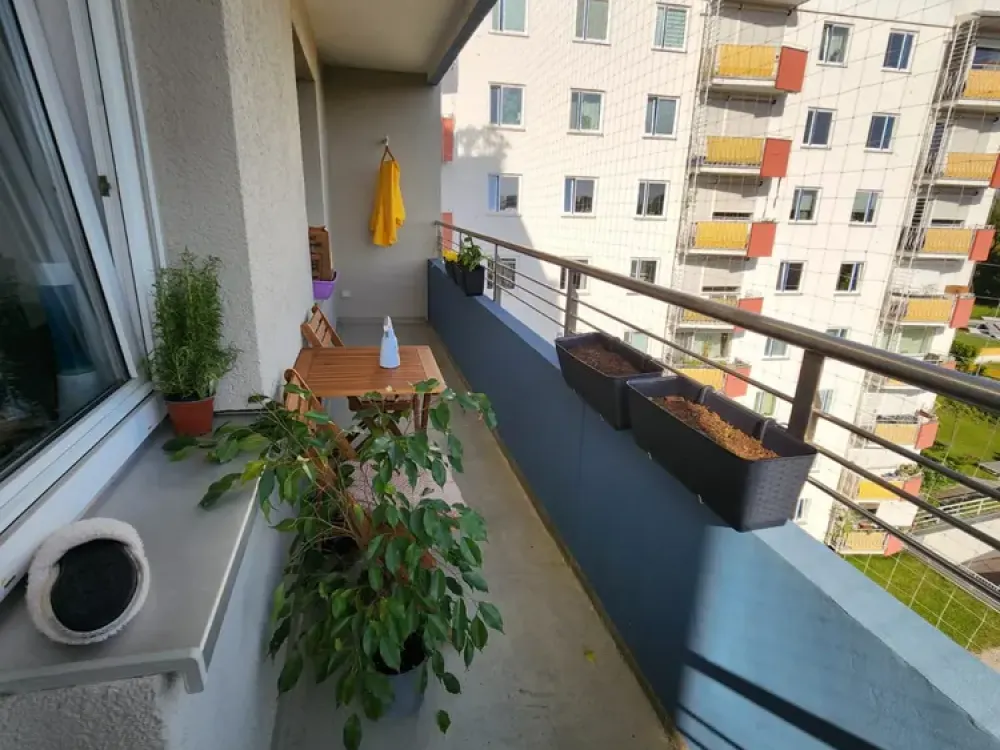 2-Room Apartment with Fitted Kitchen & Balcony in Munich-Moosach, from 01.10