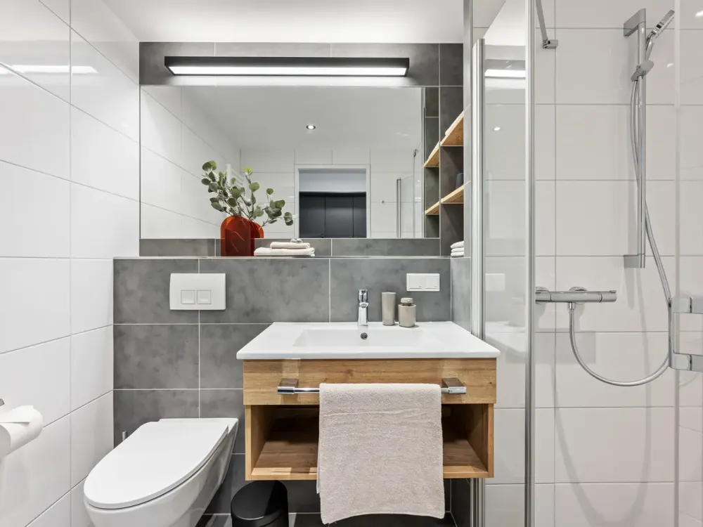 Furnished Business Apartment "Single-Suite" - from 4 nights rental period!