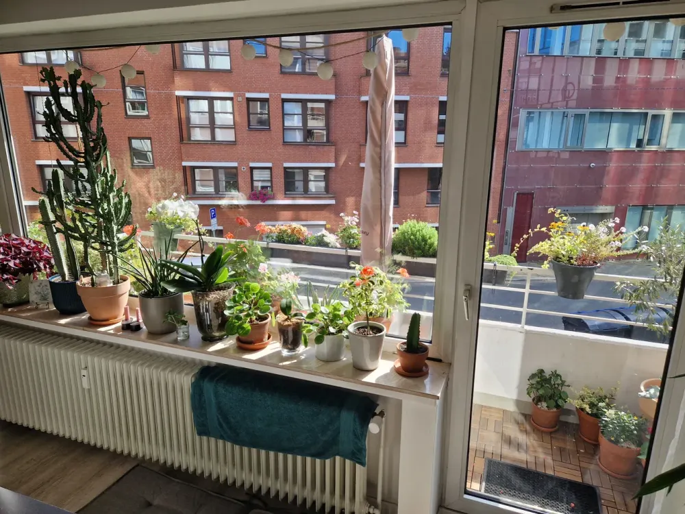 2-Room Apartment in Bremen Old Town