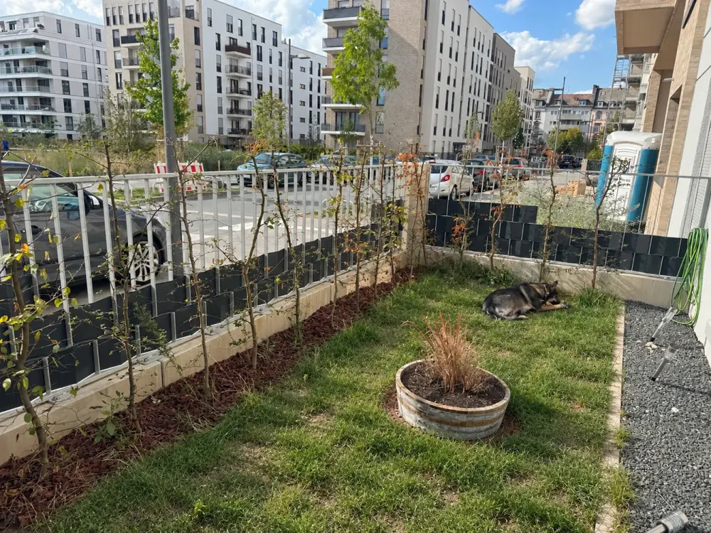 Zweitbezug - Gartenwohnung im Schönhofviertel