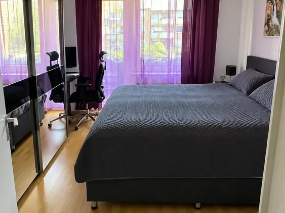 السكن بشخصية: شقة 3.5 غرف في ليشلينغن