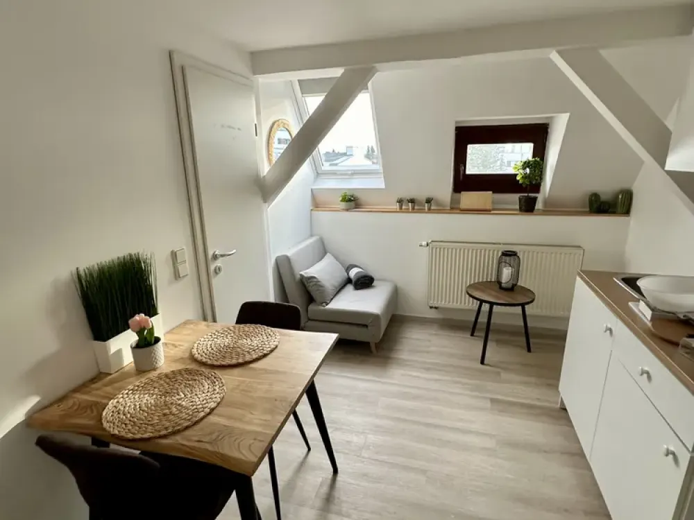 Near FAU: Modern Furnished 1-Room Apartment, Fully Equipped