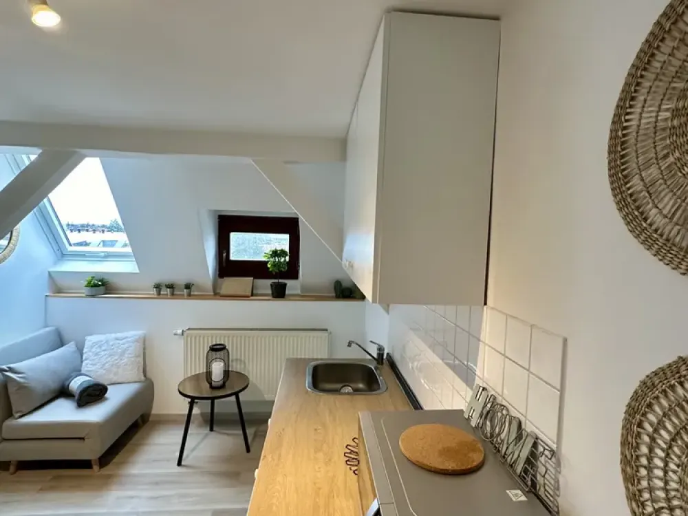 Near FAU: Modern Furnished 1-Room Apartment, Fully Equipped