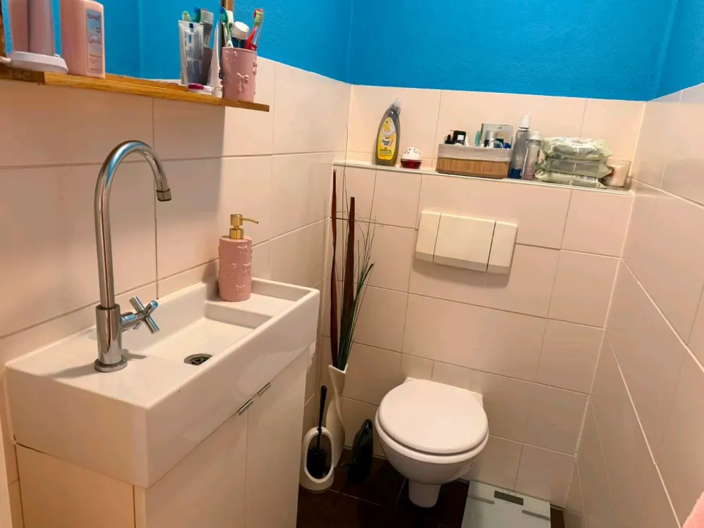 2.5-3 Room Apartment