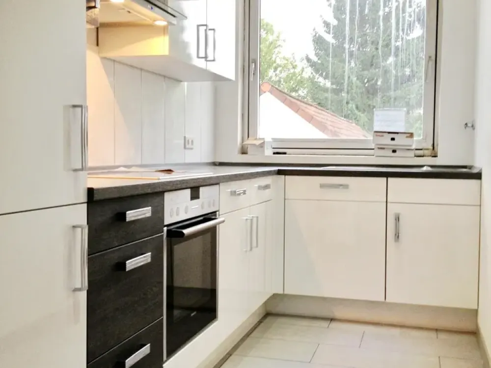 Dream Luxury Apartment Completely and Elaborately Renovated!!
