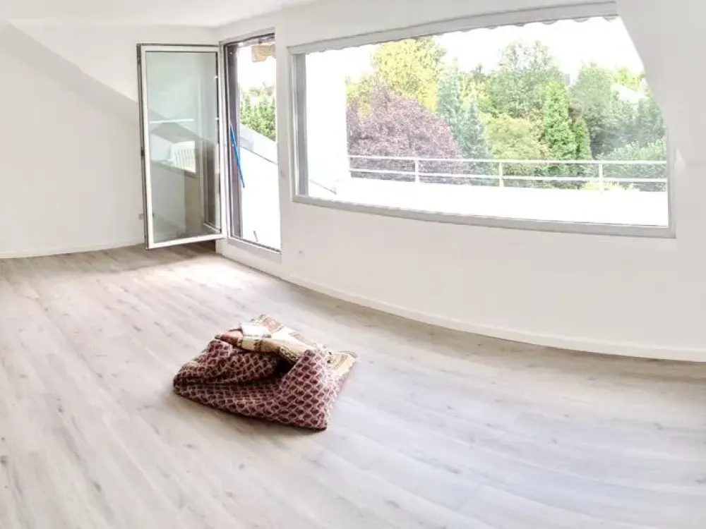Dream Luxury Apartment Completely and Elaborately Renovated!!