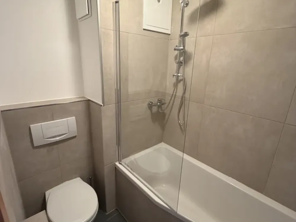 Renovated 1-Room Student Apartment with Terrace at Burgberg