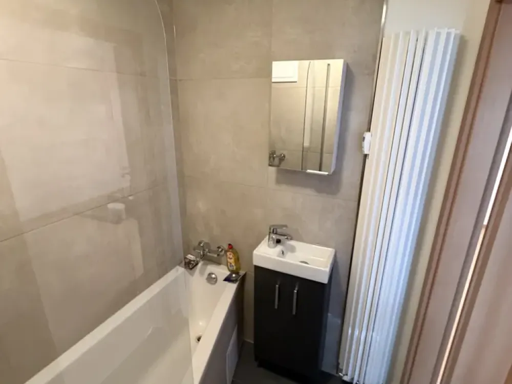 Renovated 1-Room Student Apartment with Terrace at Burgberg