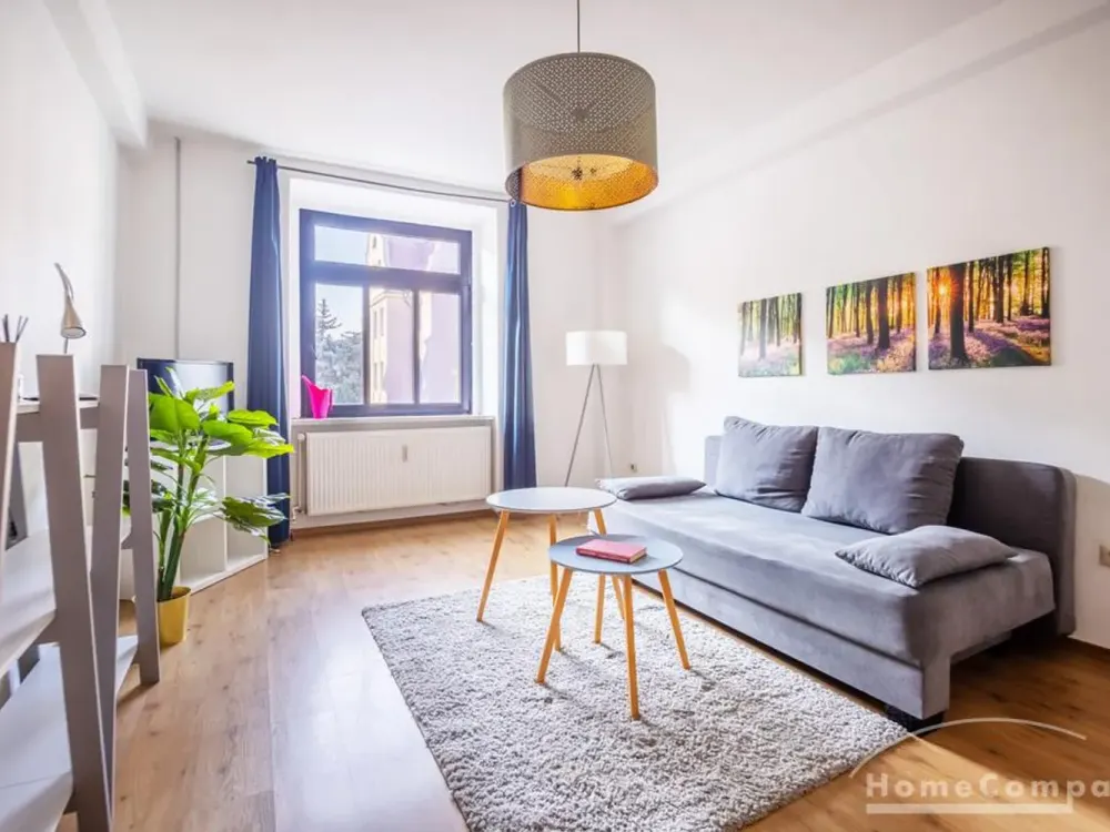 27306 HomeCompany Dresden Furnished 2-Room Apartment in Dresden-Friedrichstadt max. 3 ...