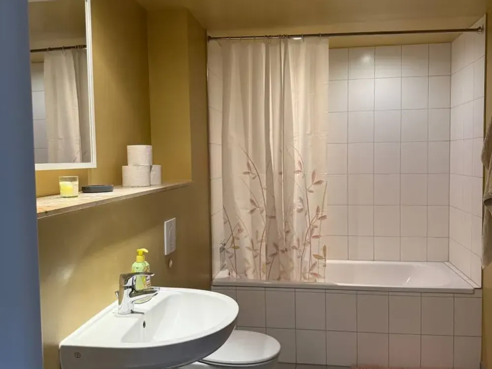 Bright 2-Room Apartment in Central Location in Dresden with Furniture Takeover