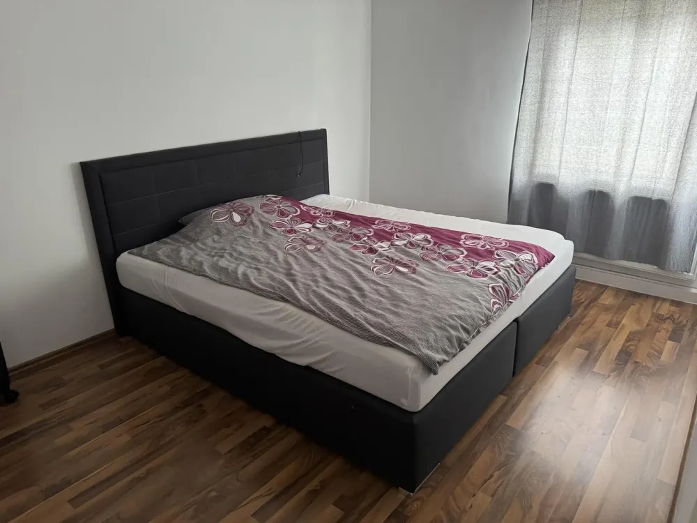 Renovated and Possibly Furnished 2-Room Apartment