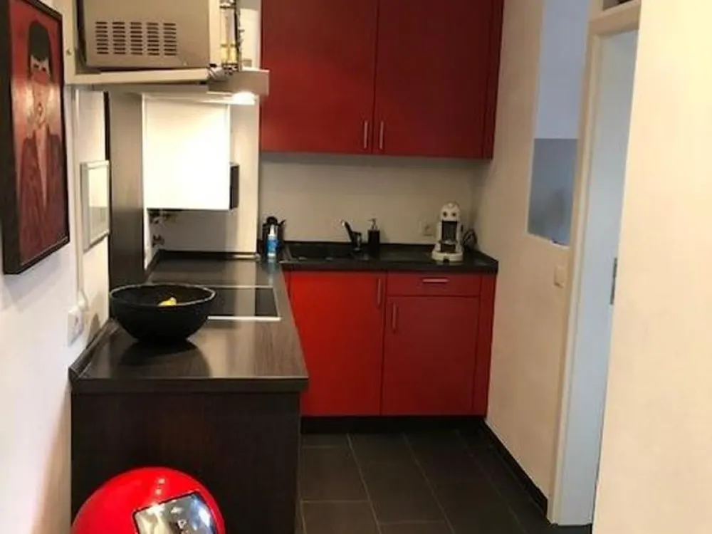 Renovated and Possibly Furnished 2-Room Apartment