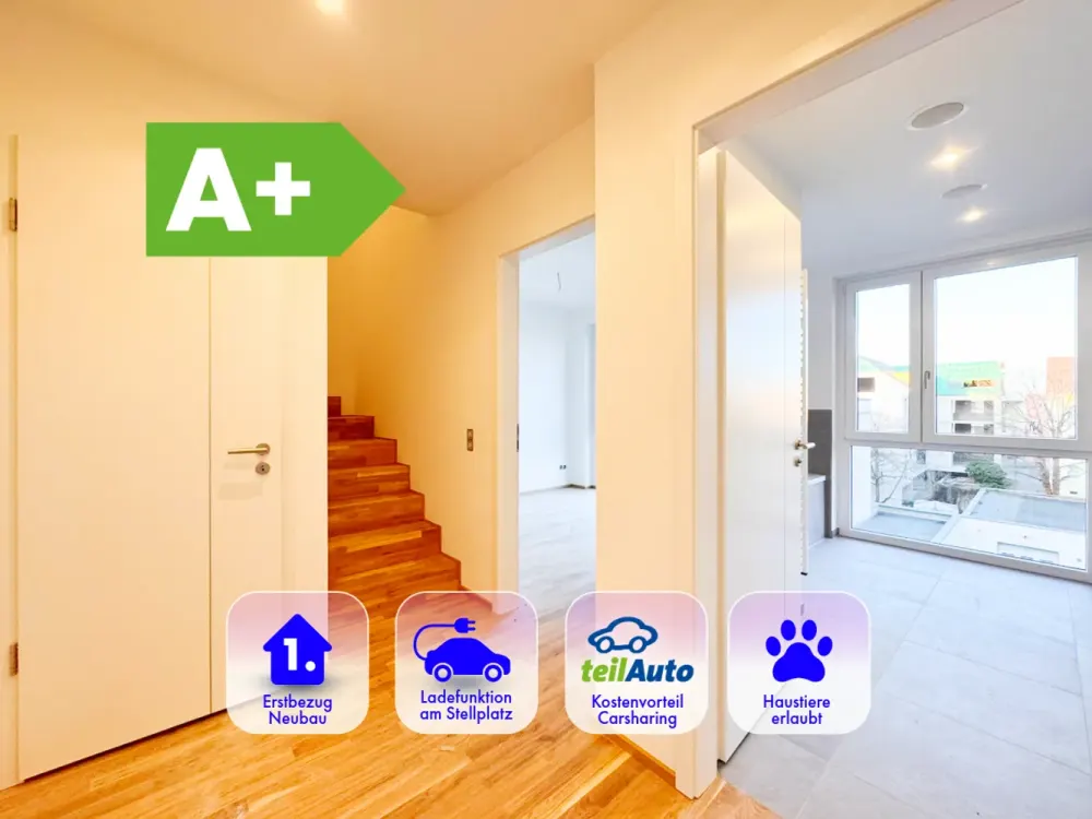 * على طابقين * 4 غرف * شقة * A+ * بناء جديد * عند Auenwald * شرفة * موقف سيارات تحت الأرض *