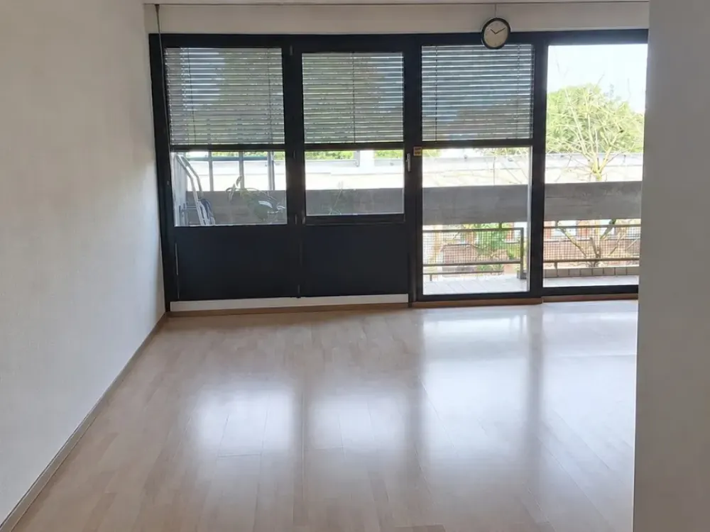 Spacious One-Room Apartment in Freimann