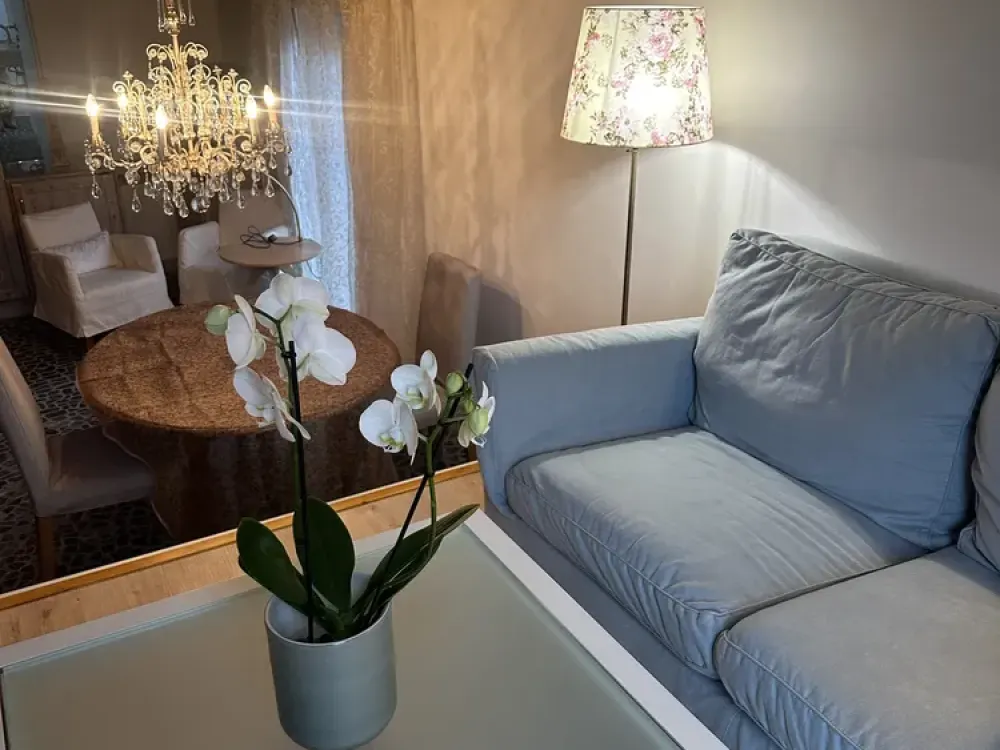 Loft-mit lux. Vollmöblierung 1.150 € Kaltmiete + Strom