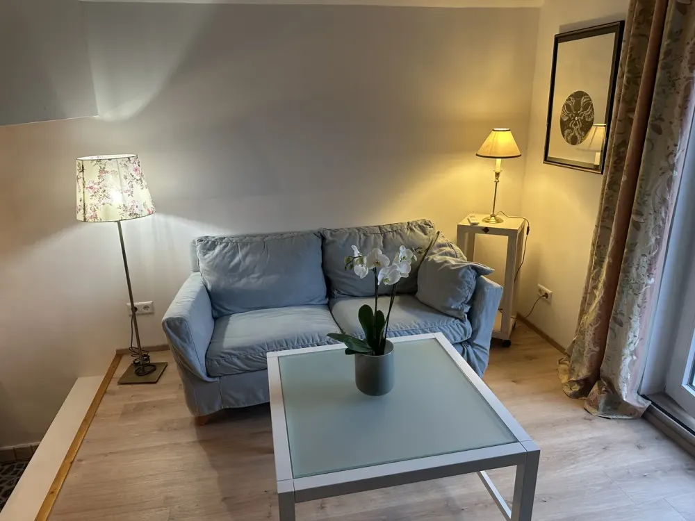 Loft-mit lux. Vollmöblierung 1.150 € Kaltmiete + Strom