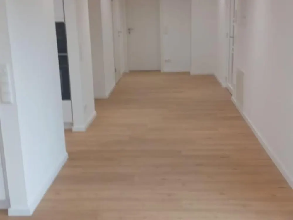 Beautiful Ground Floor Apartment, Newly Renovated