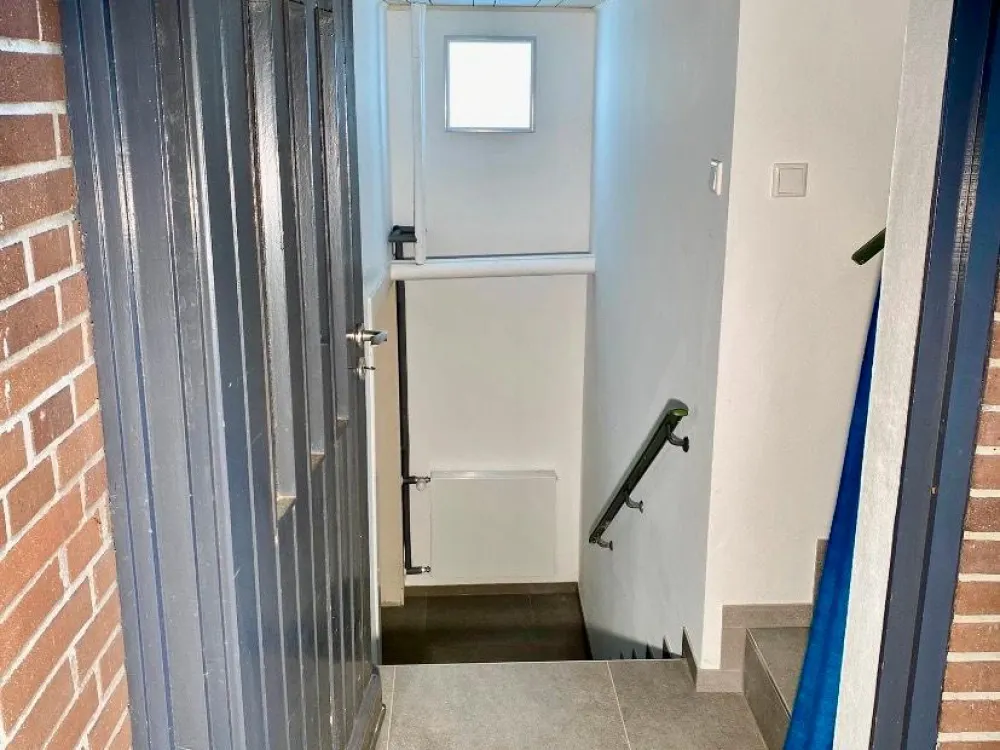Small Furnished Single 1.5-Room Apartment with Garden