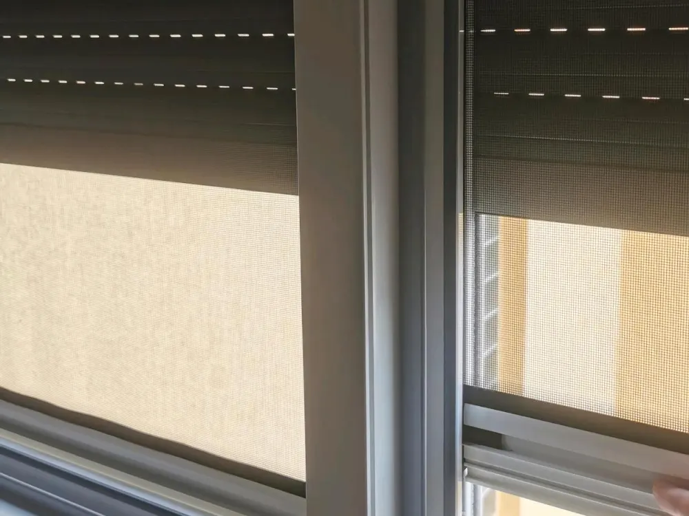 1 Room Apartment for Rent