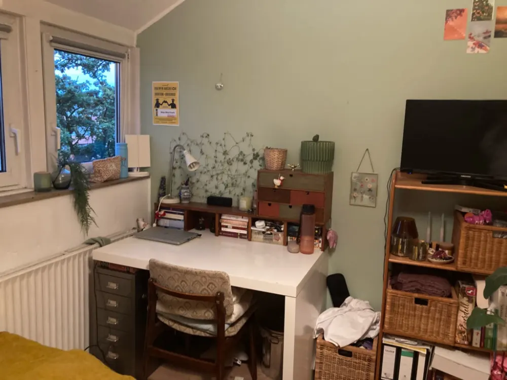 Shared Apartment Room on Hammer Street