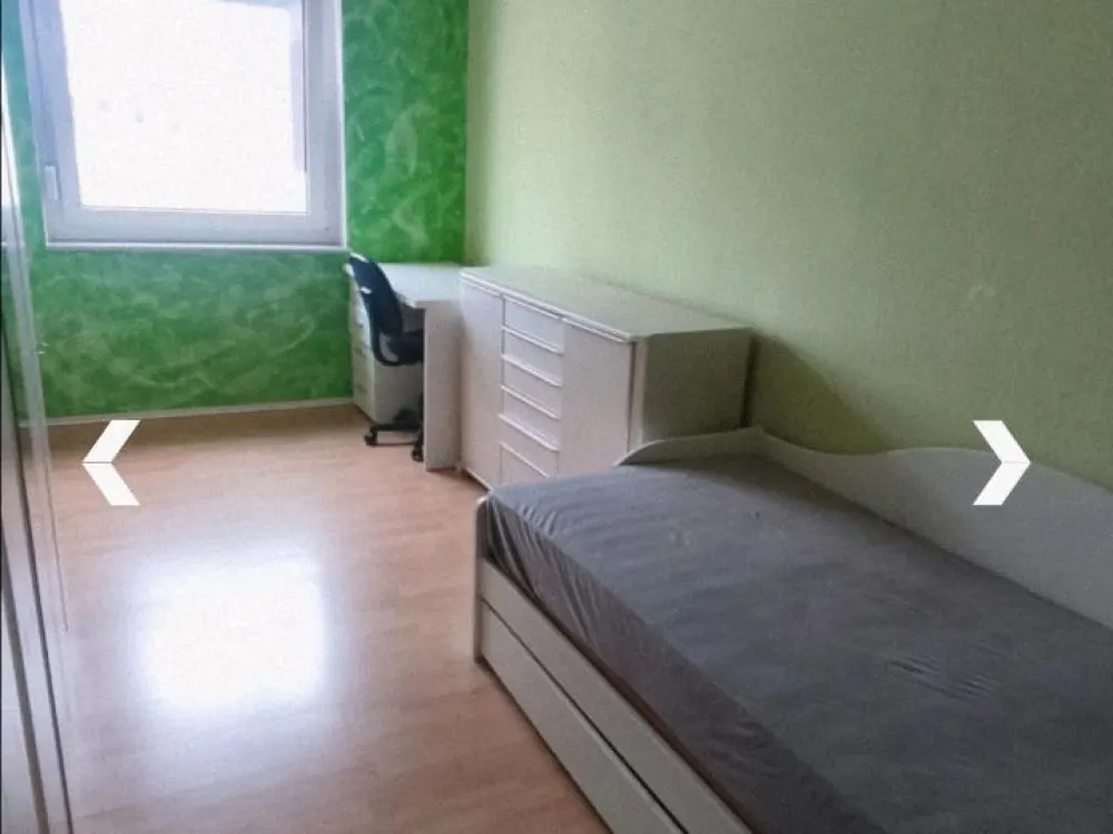 Shared Apartment Room for Dog Lover