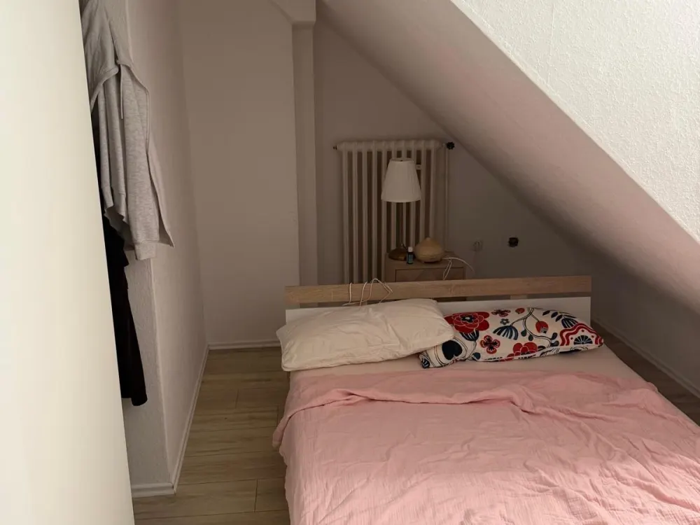 2 Room Apartment with Kitchen and Bathroom in the Attic in the City Center near City Point Kassel