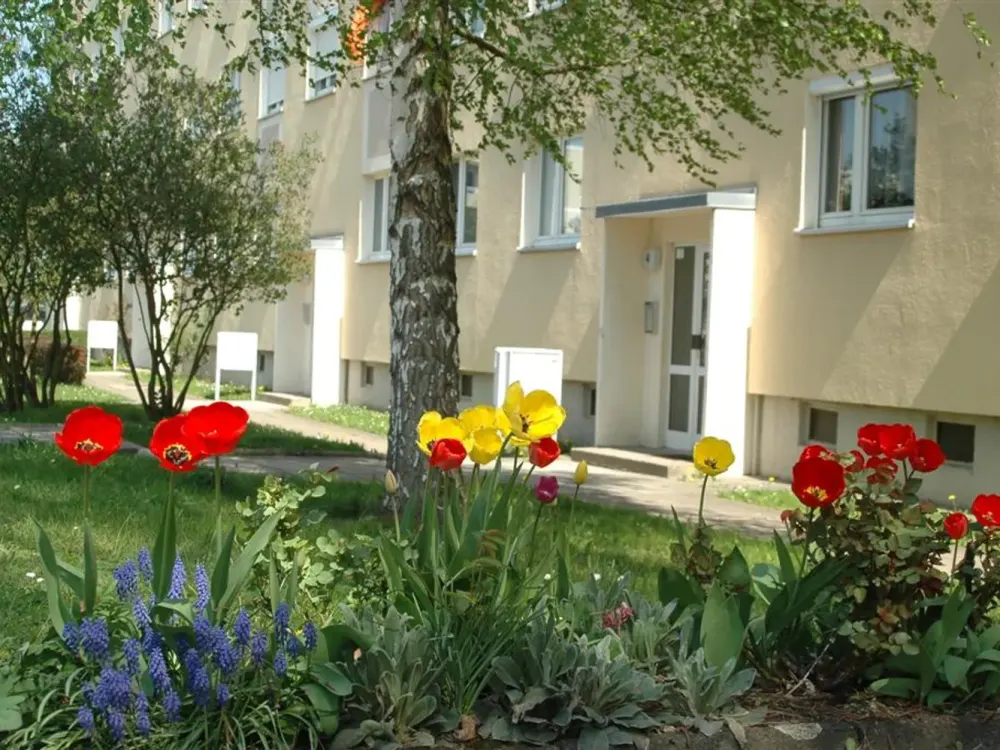 Quiet yet Central - Cozy 3-Room Apartment Pirna Sonnenstein