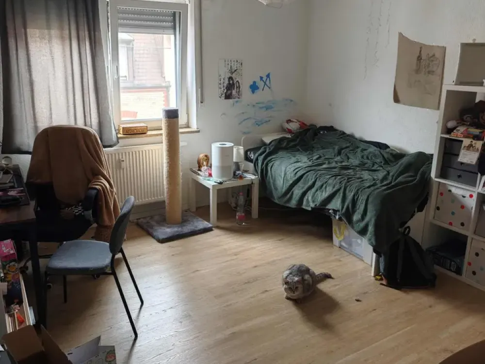 Stylishly Renovated: 3-Room Apartment in Karlsruhe