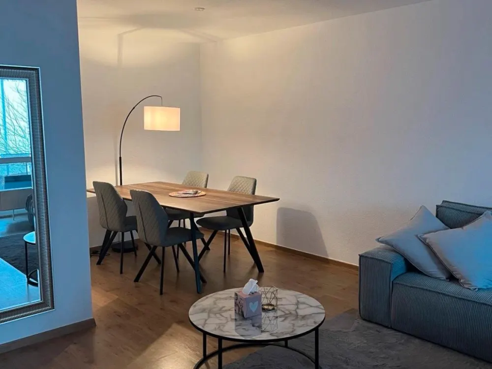 Furnished Rental Apartment
