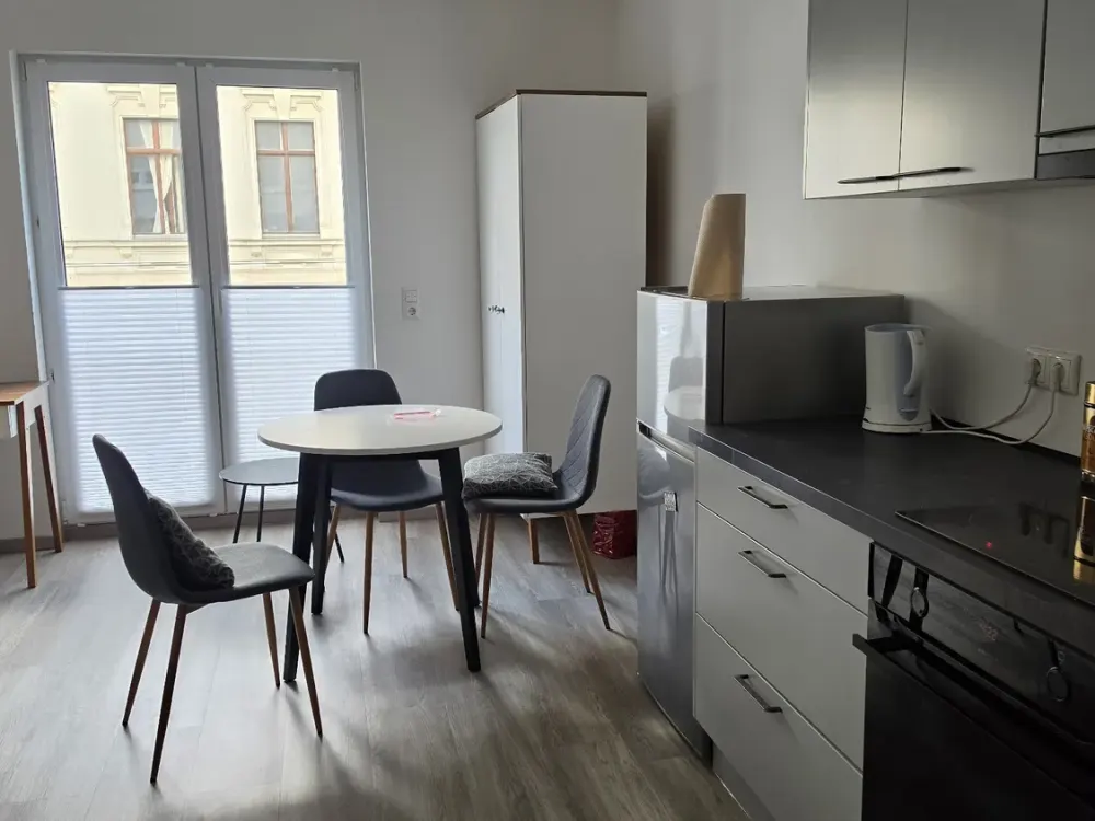 Compact 1-Room Apartment in Leipzig Zentrum-Süd