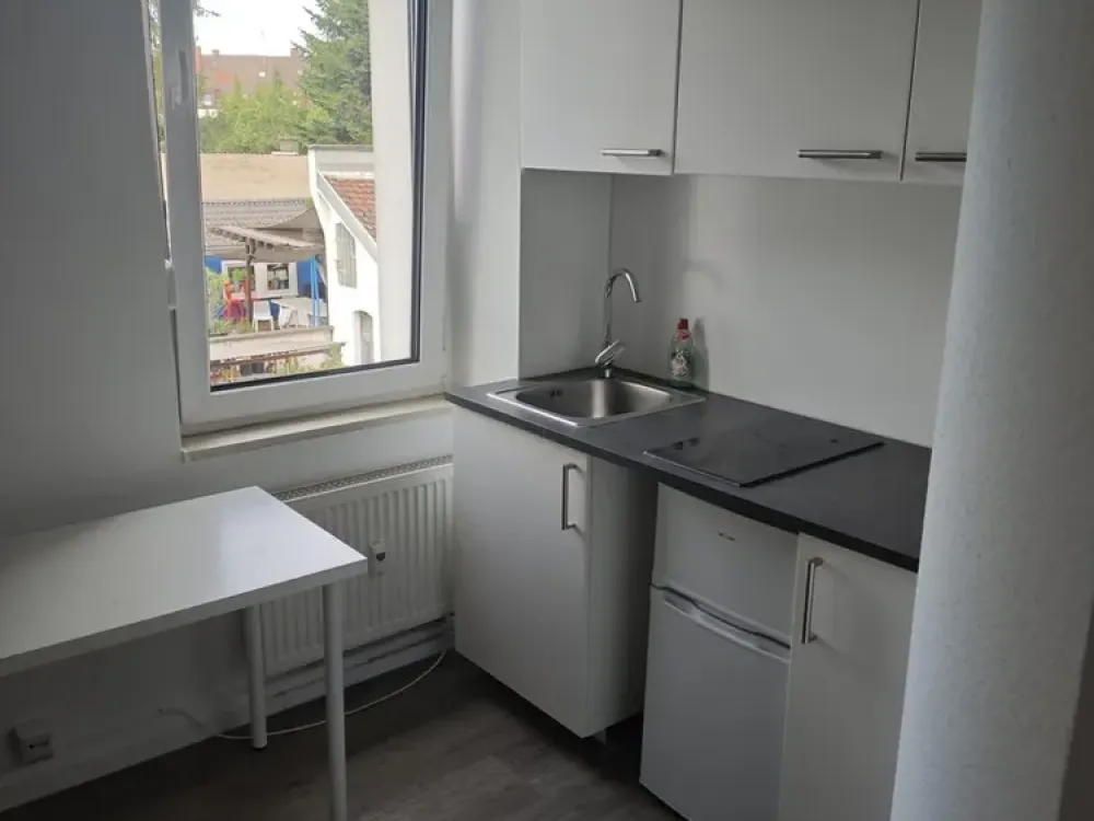 Furnished 1-Room Apartment for Rent
