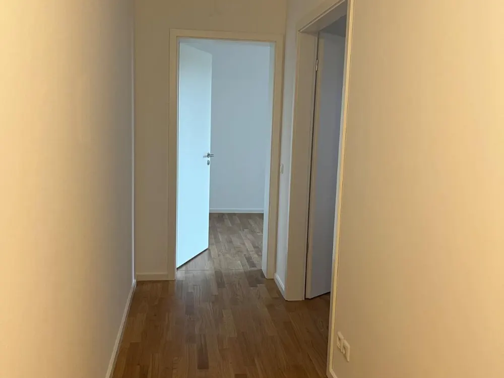 Looking for a New Tenant: 3-Room Apartment Johannstadt