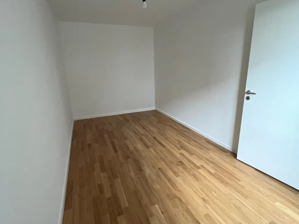 Looking for a New Tenant: 3-Room Apartment Johannstadt