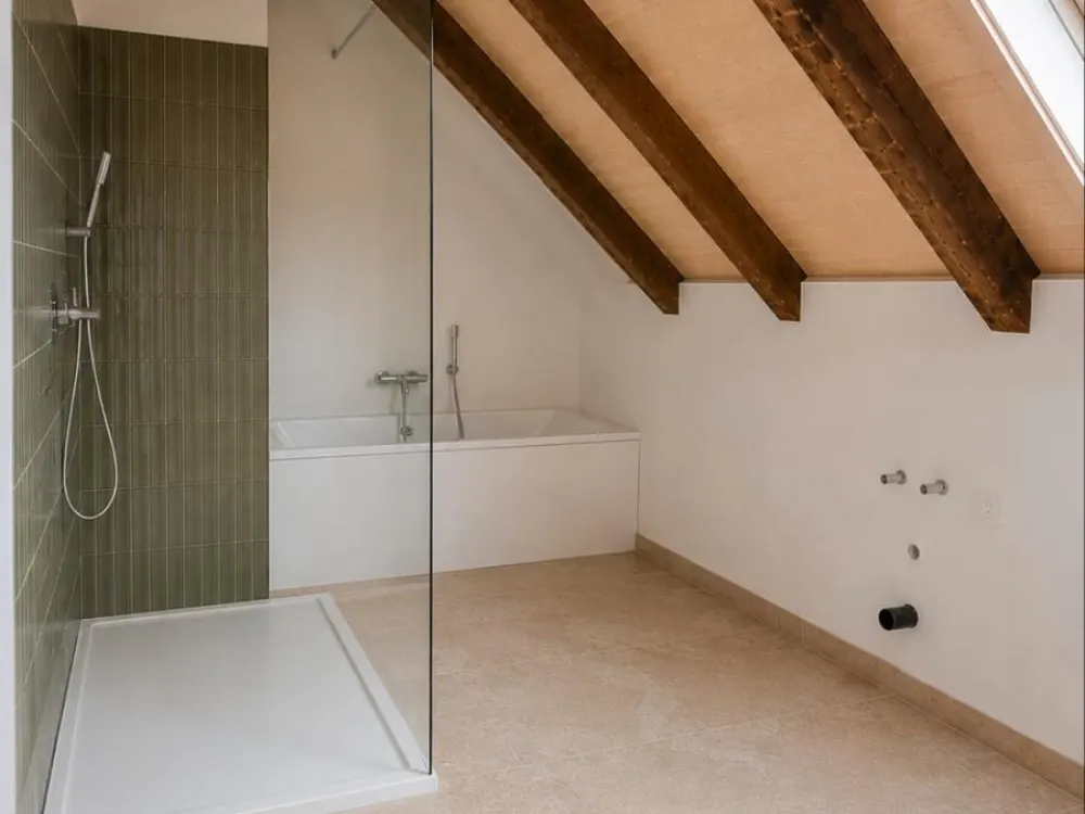 Unique Attic Loft in First Occupancy After Renovation
