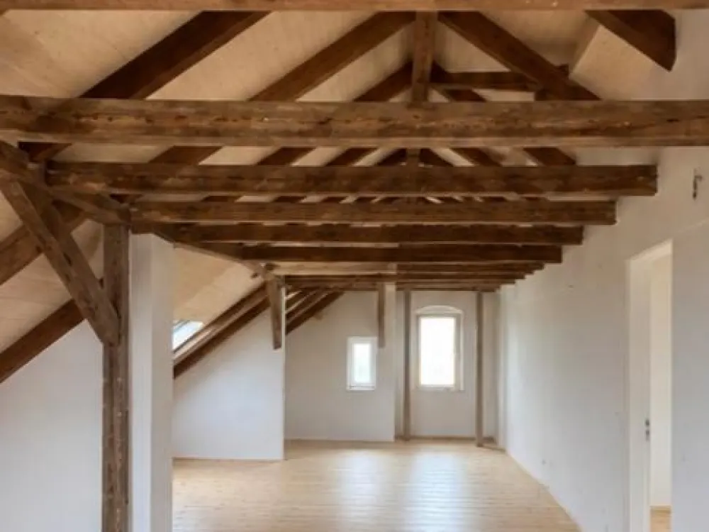 Unique Attic Loft in First Occupancy After Renovation