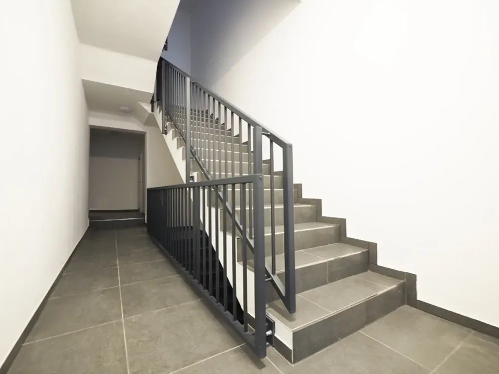 Completely Renovated Basement Apartment in the Nauwieser Viertel!