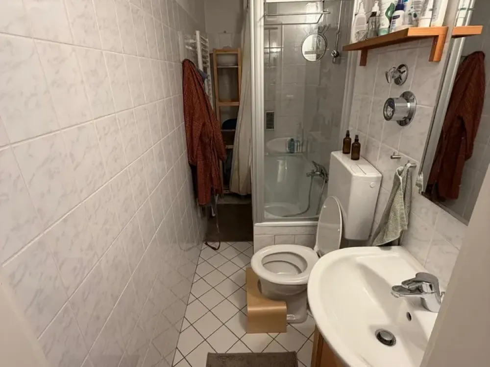 Living with Character: 2-Room Apartment in Maxvorstadt