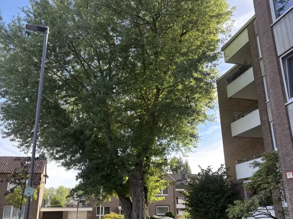 Beautiful, bright apartment after complete modernization - 200m air distance to the Rhine - from private owner